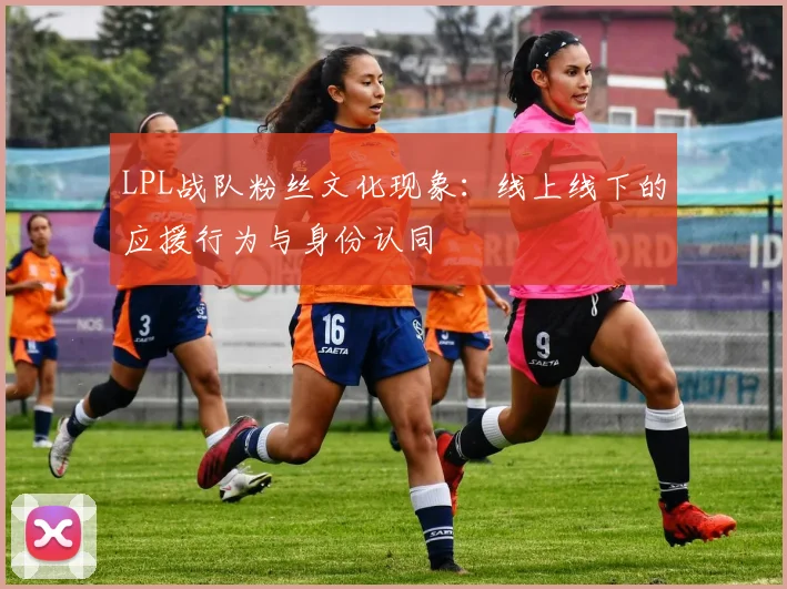 LPL战队粉丝文化现象:线上线下的应援行为与身份认同