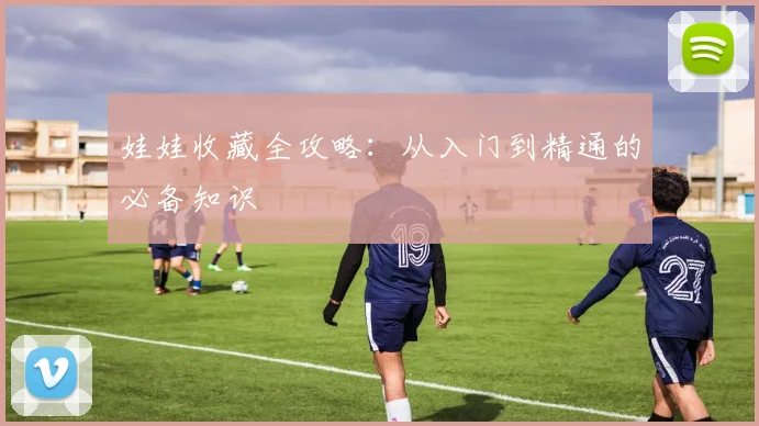 娃娃收藏全攻略:从入门到精通的必备知识